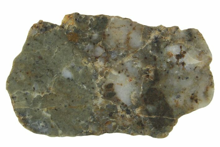 Lunar Meteorite ( g) Slice - Laayoune #360206